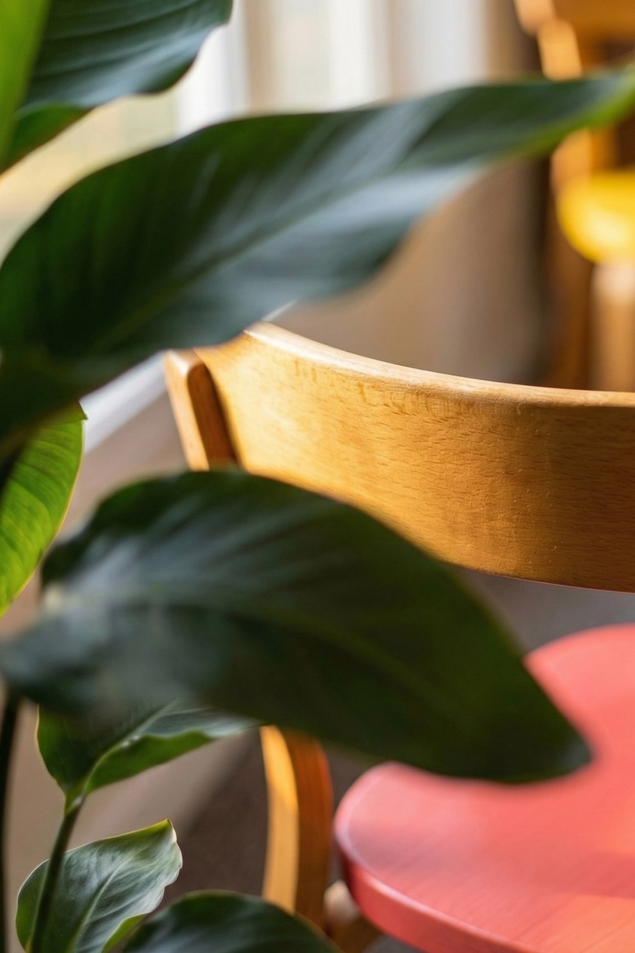 Stillleben mit Küchenstühlen und einer Pflanze im Vordergrund, sanftes Licht durch Fenster.